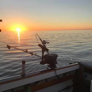 Meet your Posher, Paul